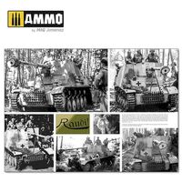 6264, Italienfeldzug, Carros de Combate y Vehiculos Alemanes V.2 1943-1945, AMMO Mig Jimenez. 