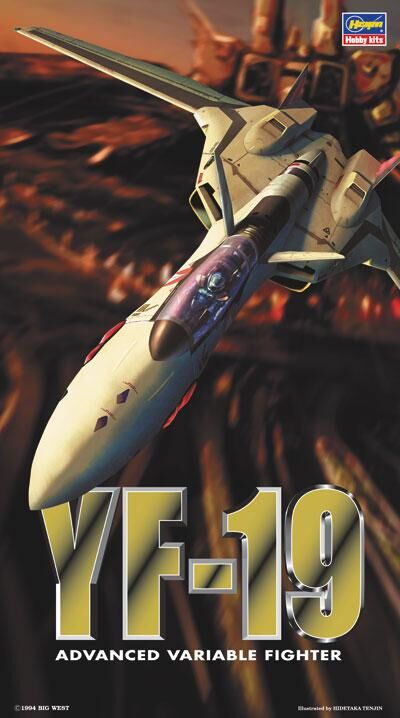 65709, Macross Plus YF-19, 1/72, Hasegawa.