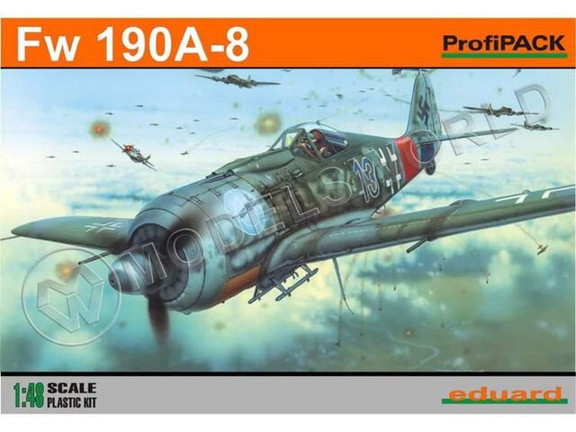 8173, Fw 190A-8, 1/48, Eduard.